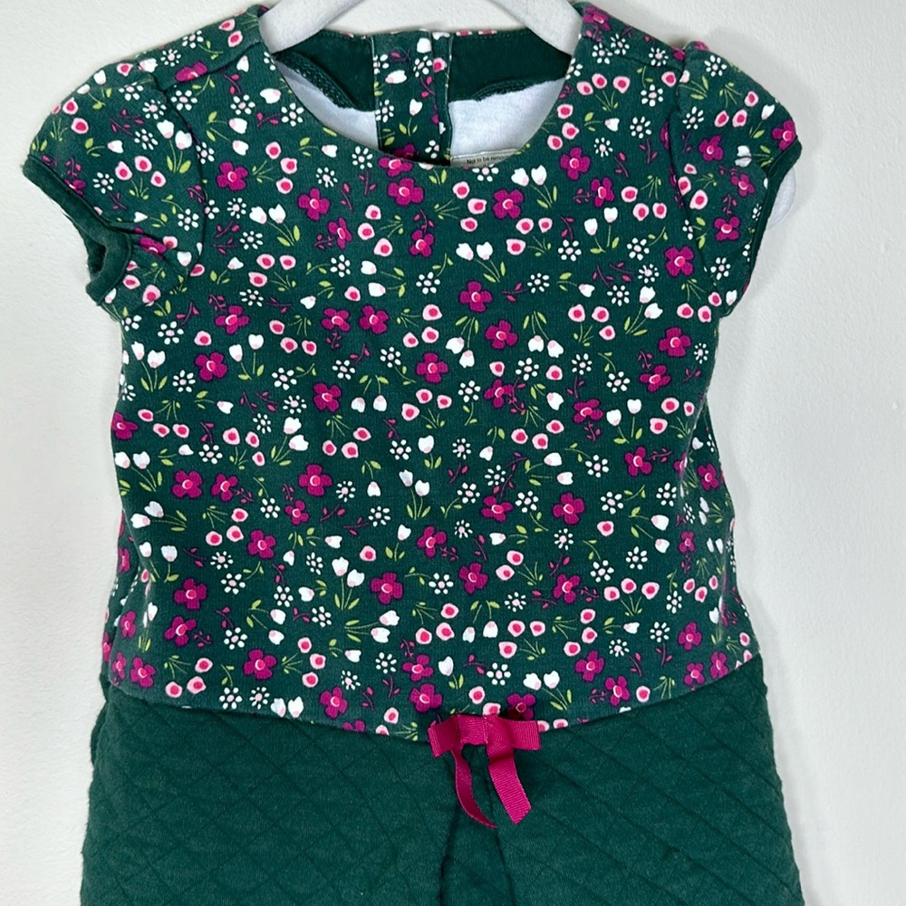 Gymboree Dress Size 12-18m Green Pink Flowers Floral